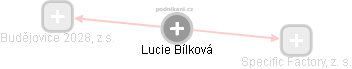  Lucie B. - Vizualizace  propojení osoby a firem v obchodním rejstříku
