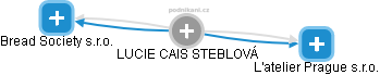  Cais L. - Vizualizace  propojení osoby a firem v obchodním rejstříku