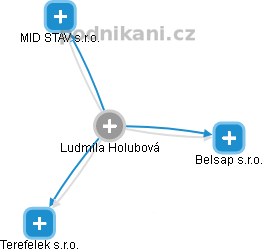  Ludmila H. - Vizualizace  propojení osoby a firem v obchodním rejstříku