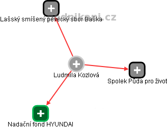 Ludmila Kozlová - Vizualizace  propojení osoby a firem v obchodním rejstříku