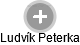 Ludvík Peterka - Vizualizace  propojení osoby a firem v obchodním rejstříku