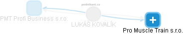 LUKÁŠ KOVALÍK - Vizualizace  propojení osoby a firem v obchodním rejstříku