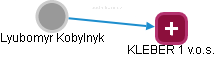 Lyubomyr Kobylnyk - Vizualizace  propojení osoby a firem v obchodním rejstříku
