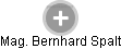  Bernhard S. - Vizualizace  propojení osoby a firem v obchodním rejstříku