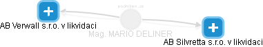 MARIO DELINER - Vizualizace  propojení osoby a firem v obchodním rejstříku
