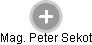 Peter Sekot - Vizualizace  propojení osoby a firem v obchodním rejstříku