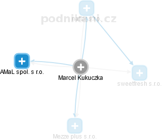 Marcel Kukuczka - Vizualizace  propojení osoby a firem v obchodním rejstříku