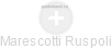 Marescotti Ruspoli - Vizualizace  propojení osoby a firem v obchodním rejstříku
