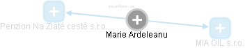 Marie Ardeleanu - Vizualizace  propojení osoby a firem v obchodním rejstříku
