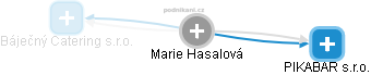 Marie Hasalová - Vizualizace  propojení osoby a firem v obchodním rejstříku