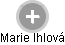 Marie Ihlová - Vizualizace  propojení osoby a firem v obchodním rejstříku
