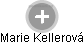 Marie Kellerová - Vizualizace  propojení osoby a firem v obchodním rejstříku