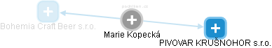 Marie Kopecká - Vizualizace  propojení osoby a firem v obchodním rejstříku