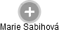 Marie Sabihová - Vizualizace  propojení osoby a firem v obchodním rejstříku