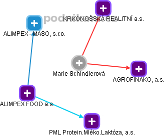 Marie Schindlerová - Vizualizace  propojení osoby a firem v obchodním rejstříku