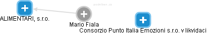 Mario Fiala - Vizualizace  propojení osoby a firem v obchodním rejstříku