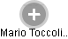 Mario Toccoli.. - Vizualizace  propojení osoby a firem v obchodním rejstříku