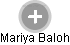 Mariya Baloh - Vizualizace  propojení osoby a firem v obchodním rejstříku