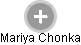 Mariya Chonka - Vizualizace  propojení osoby a firem v obchodním rejstříku