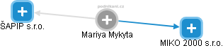 Mariya Mykyta - Vizualizace  propojení osoby a firem v obchodním rejstříku