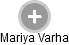 Mariya Varha - Vizualizace  propojení osoby a firem v obchodním rejstříku