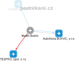 Martin Bukvic - Vizualizace  propojení osoby a firem v obchodním rejstříku