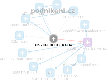 MARTIN DIBLÍČEK - Vizualizace  propojení osoby a firem v obchodním rejstříku