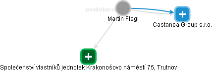 Martin Flegl - Vizualizace  propojení osoby a firem v obchodním rejstříku