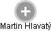 Martin H. - Vizualizace  propojení osoby a firem v obchodním rejstříku