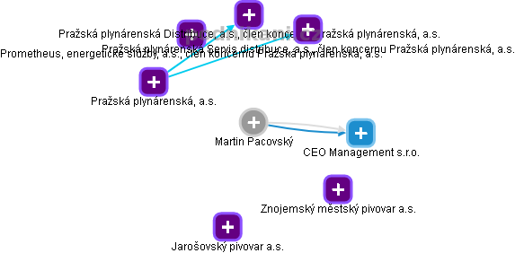 Martin Pacovský - Vizualizace  propojení osoby a firem v obchodním rejstříku