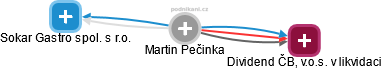 Martin Pečinka - Vizualizace  propojení osoby a firem v obchodním rejstříku
