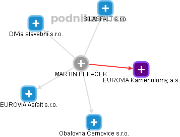 MARTIN PEKÁČEK - Vizualizace  propojení osoby a firem v obchodním rejstříku