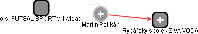 Martin Pelikán - Vizualizace  propojení osoby a firem v obchodním rejstříku