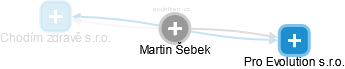 Martin Šebek - Vizualizace  propojení osoby a firem v obchodním rejstříku