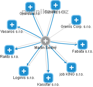 Martin Šedivý - Vizualizace  propojení osoby a firem v obchodním rejstříku