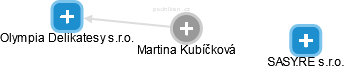  Martina K. - Vizualizace  propojení osoby a firem v obchodním rejstříku