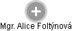  Alice F. - Vizualizace  propojení osoby a firem v obchodním rejstříku