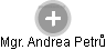  Andrea P. - Vizualizace  propojení osoby a firem v obchodním rejstříku