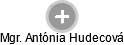  Antónia H. - Vizualizace  propojení osoby a firem v obchodním rejstříku