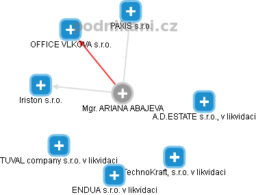  Ariana A. - Vizualizace  propojení osoby a firem v obchodním rejstříku