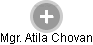  Atila Ch. - Vizualizace  propojení osoby a firem v obchodním rejstříku