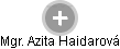 Azita Haidarová - Vizualizace  propojení osoby a firem v obchodním rejstříku