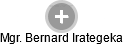  Bernard I. - Vizualizace  propojení osoby a firem v obchodním rejstříku