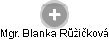 Blanka Růžičková - Vizualizace  propojení osoby a firem v obchodním rejstříku