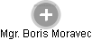  Boris M. - Vizualizace  propojení osoby a firem v obchodním rejstříku