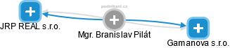  Branislav P. - Vizualizace  propojení osoby a firem v obchodním rejstříku