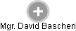 David Bascheri - Vizualizace  propojení osoby a firem v obchodním rejstříku