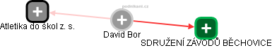 David Bor - Vizualizace  propojení osoby a firem v obchodním rejstříku