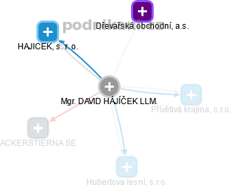 DAVID HÁJÍČEK - Vizualizace  propojení osoby a firem v obchodním rejstříku