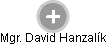 David Hanzalík - Vizualizace  propojení osoby a firem v obchodním rejstříku